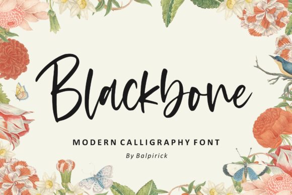 Blackbone Typeface: A Script Font That Elevates Campaign Design