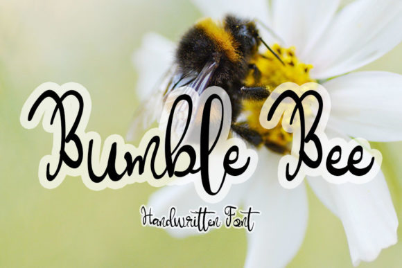 Bumble Bee Font: A Script Typeface for Digital Branding