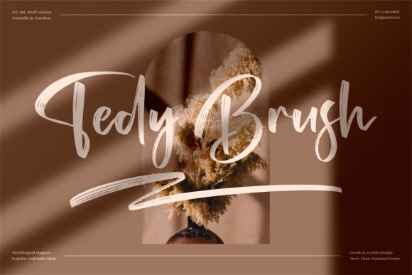 Tedy Brush: The Typeface That Elevates Your Campaign’s Visual Voice