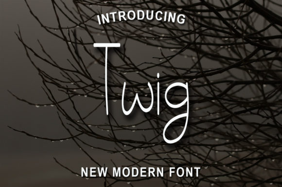 Twig: A Handwritten Font for Modern Editorial Design
